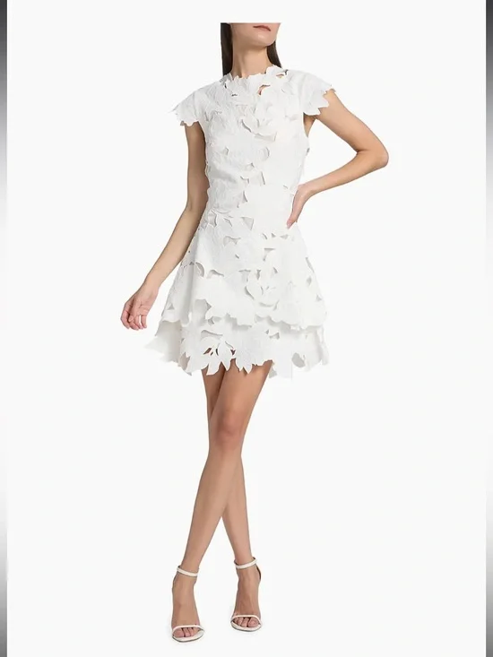 Simkhai Holloway embroidered lace mini dress - Picture 5 of 8